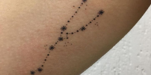 Tatuagens para o signo de touro